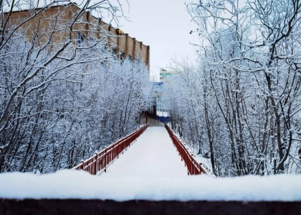 В Лабытнанги отменяют все массовые мероприятия до 3 декабря. Фото - Марина Трескова в ВК.