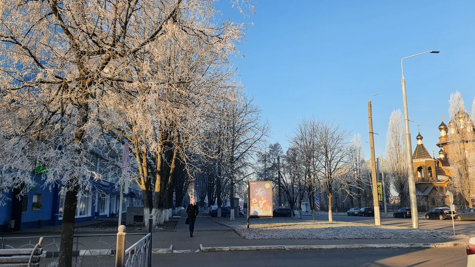 В Белгородской области ожидается морозная погода. фото: Артем Гребеник.