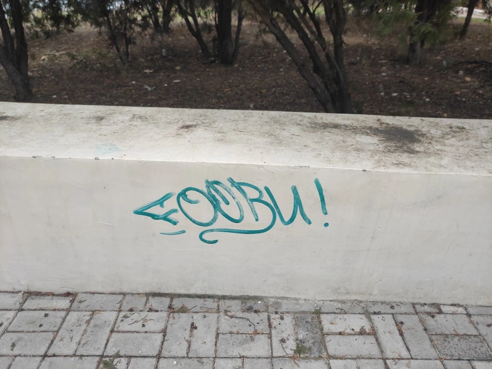 Фото: социальные сети
