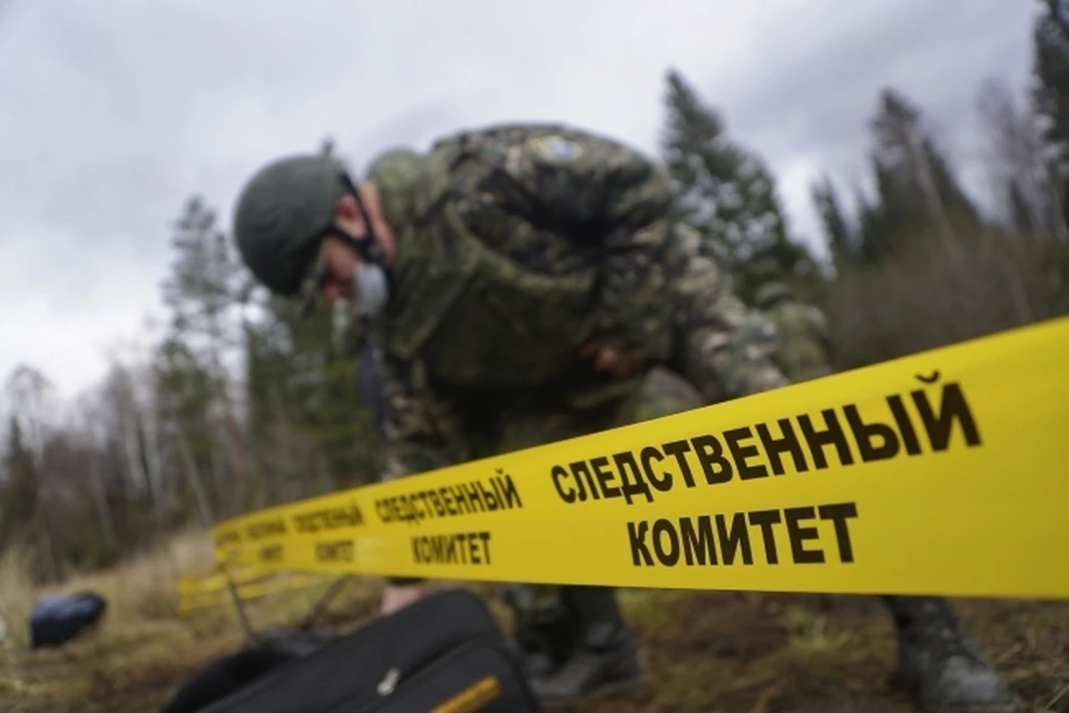 Преступление произошло в Красновишерском районе.