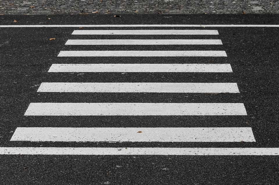 Фото: Изображение Manfred Richter с сайта Pixabay
