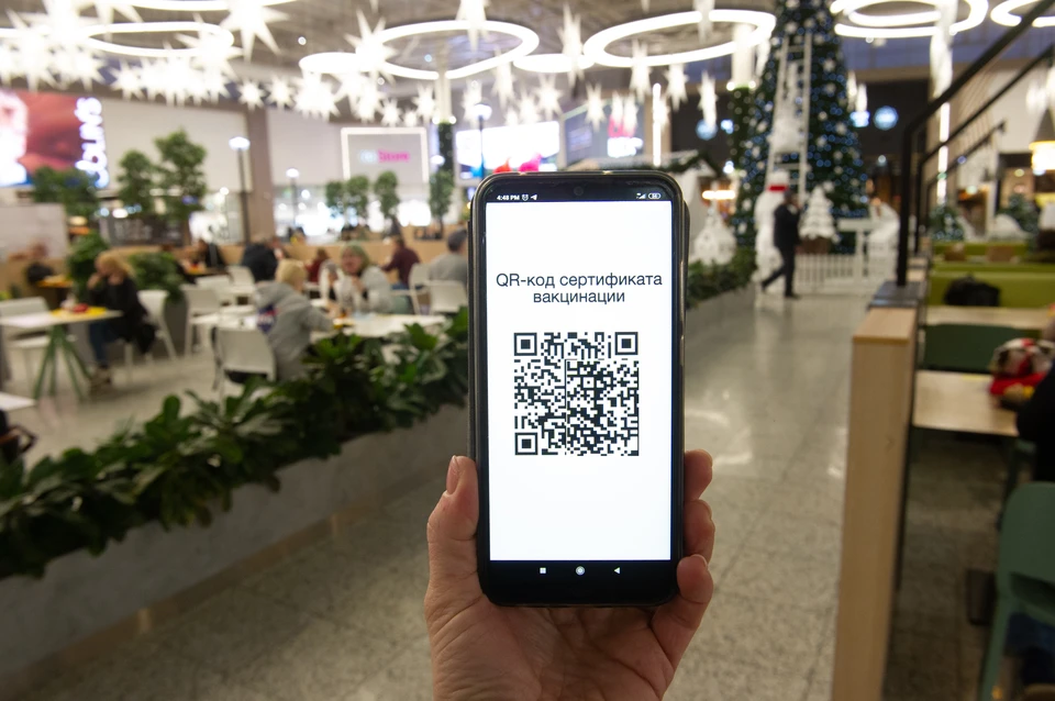 Заксобрание изучит закон о QR-кодах в России.