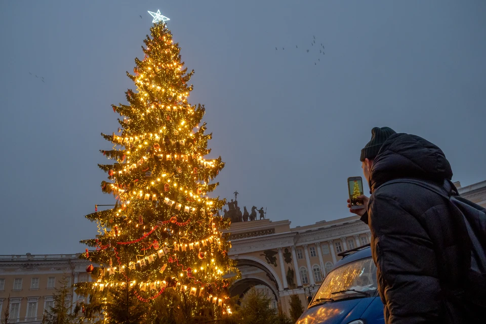 До появления в Петербурге главной новогодней елки осталось совсем немного.