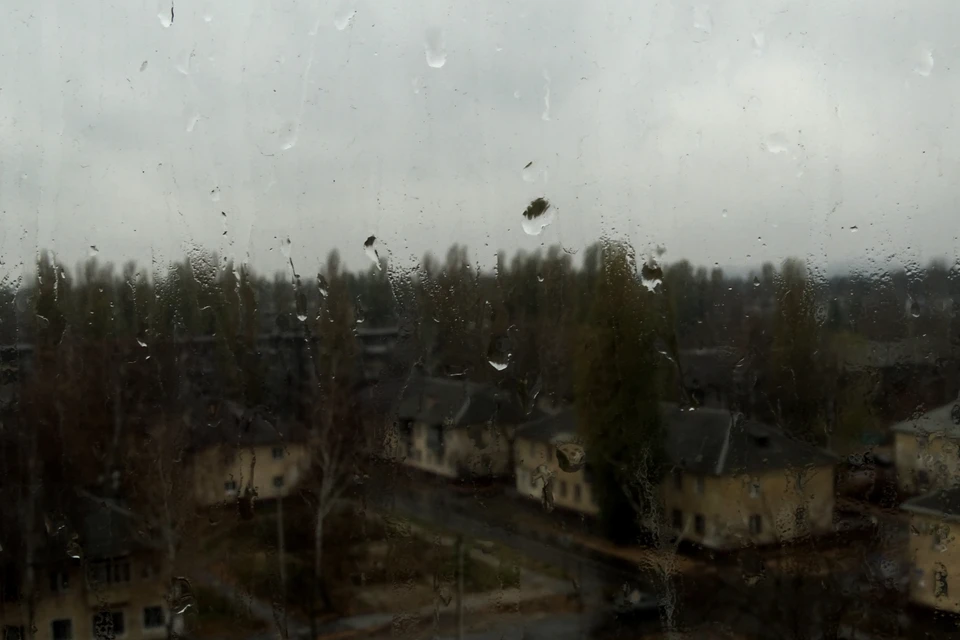 В Липецкой области в субботу дождь и сильный ветер