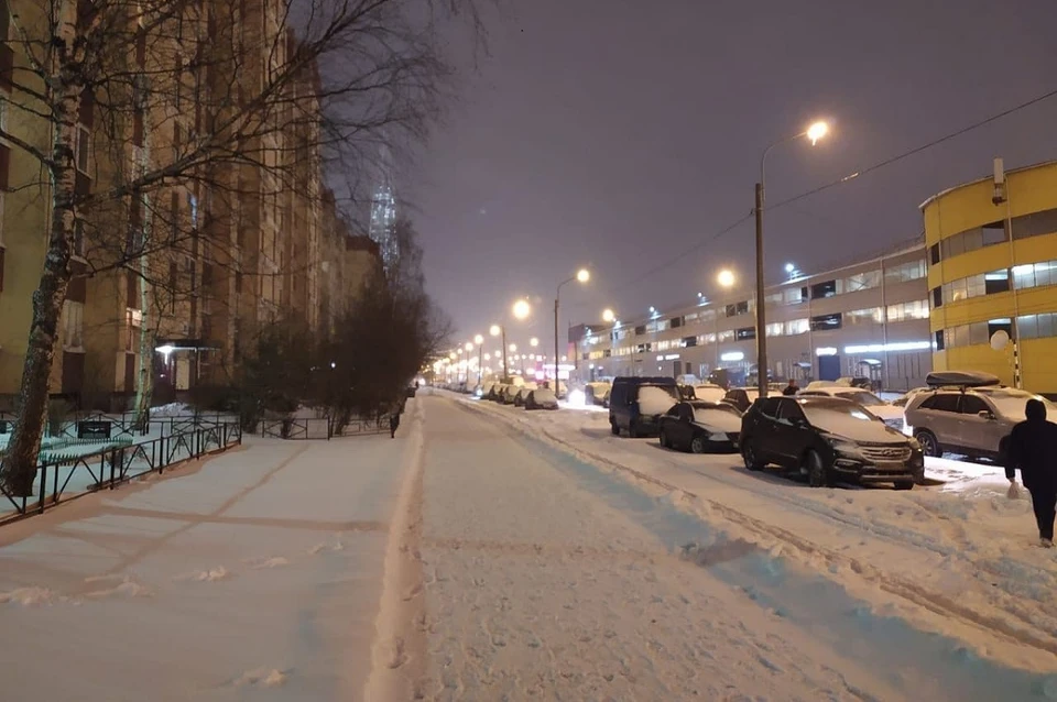 Петербург засыпало снегом.