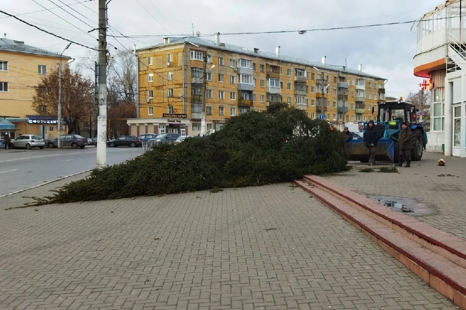 У Полетаевского рынка в Рязани рухнула новогодняя ель. Фото: Dmitry Taras.