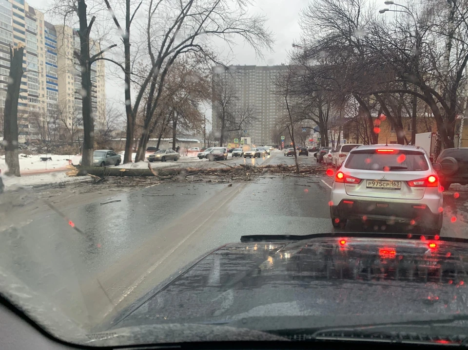 Дерево из-за сильного ветра упало на дорогу / Фото: Самара life