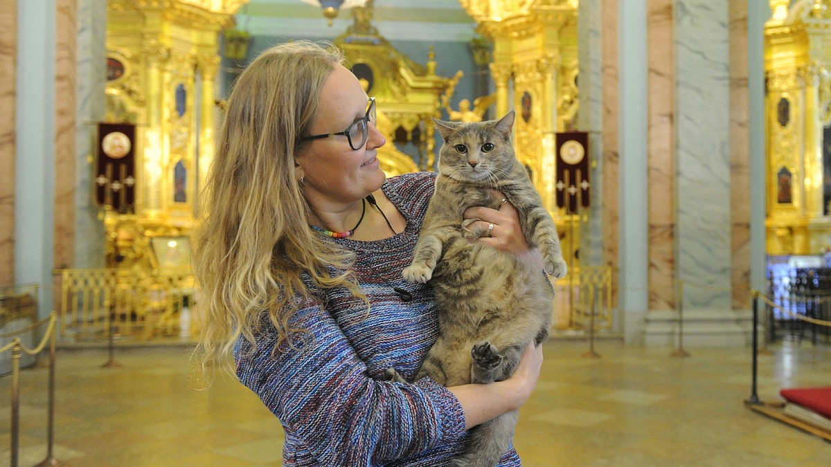 Новая хранительница Петропавловской крепости кошка Серафима сбежала с  первого интервью журналистам - KP.RU