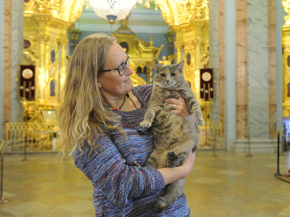 Новая хранительница Петропавловской крепости кошка Серафима сбежала с  первого интервью журналистам - KP.RU