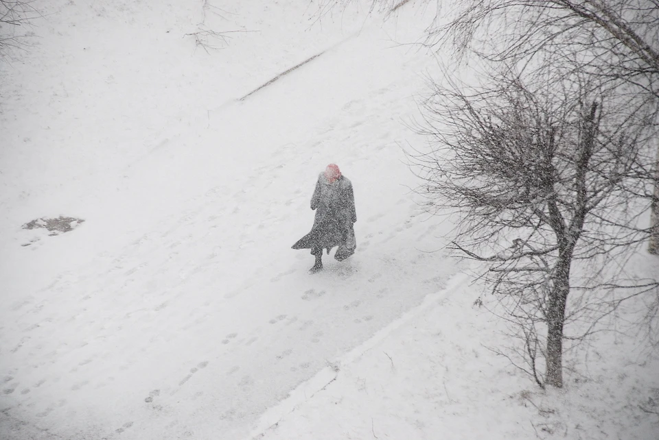 Снег с дождем прогнозируют в Ижевске. Фото: Константин Ившин