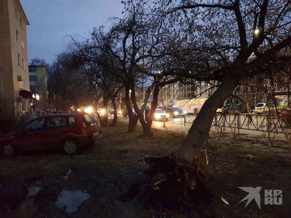 Поваленное ветром дерево на Полетаевском и припаркованная на газоне машина.
