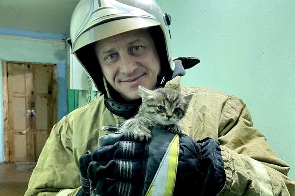 Фото: МЧС России по ЯНАО. Спасенный котенок.