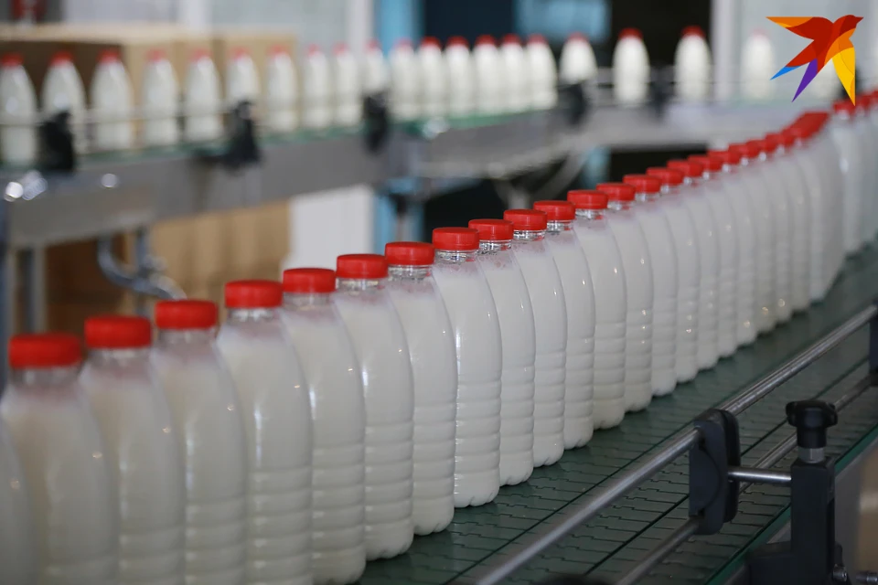 Североморский молочный завод "Латона" прекратит свою работу.