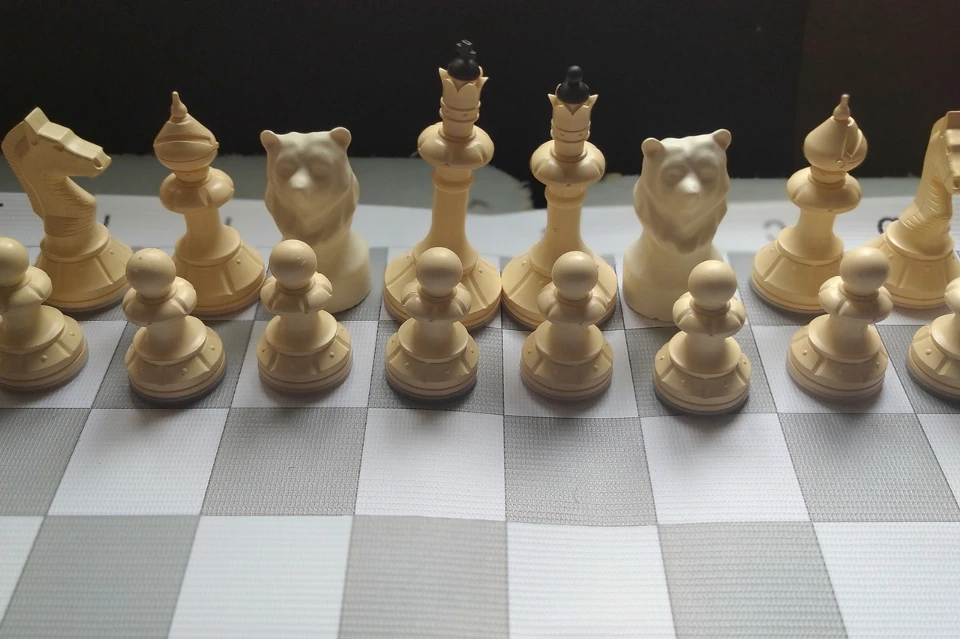 "Медвежьи шахматы" вполне могут стать и брендом Твери. Фото: VK/Медвежьи шахматы
