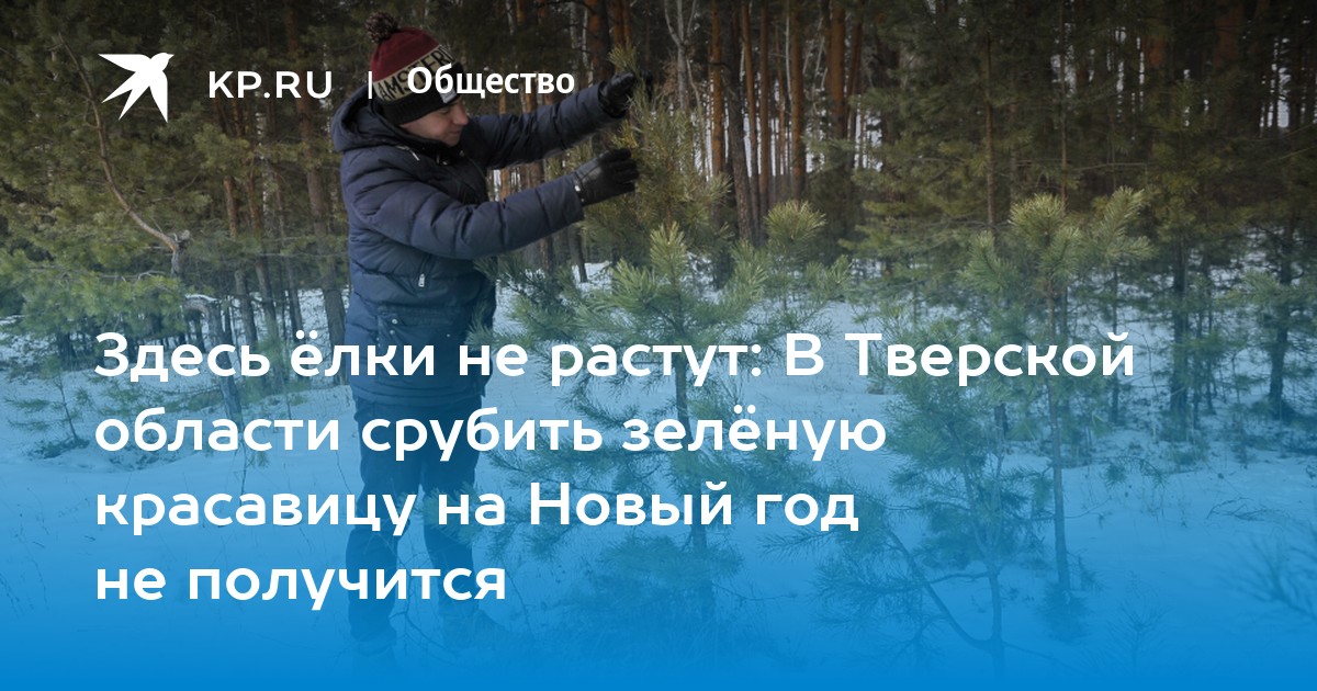 Какие Акции Традиционно Растут Под Новый Год Какие Акции Традиционно Растут Под Новый Год