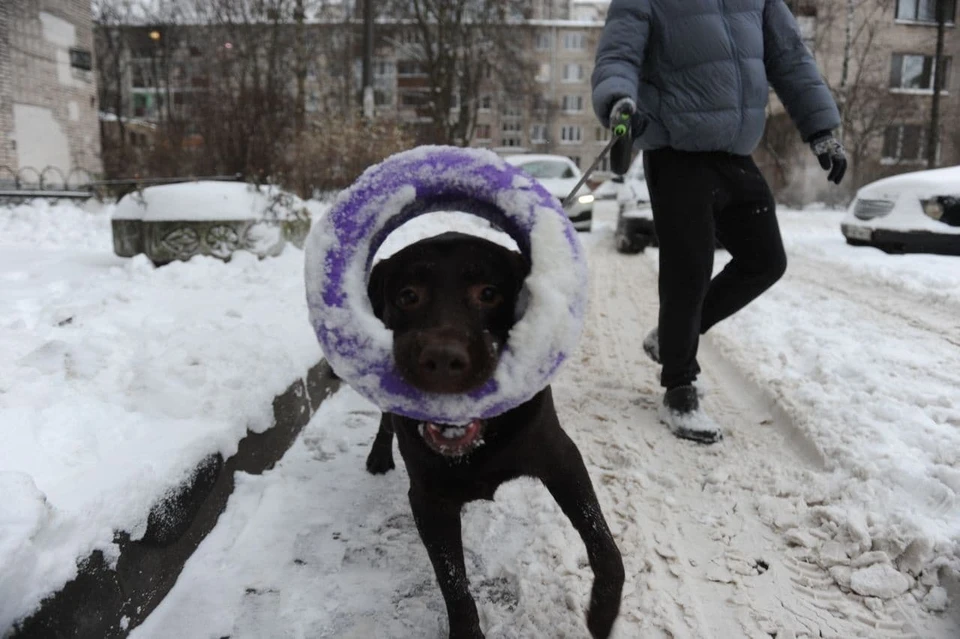 Мороз сменится на слякоть.