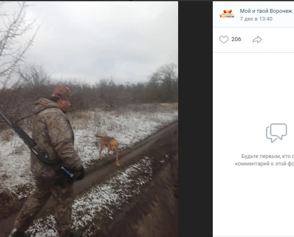 Страница сообщества "Мой и твой Воронеж" в соцсети "Вконтакте"