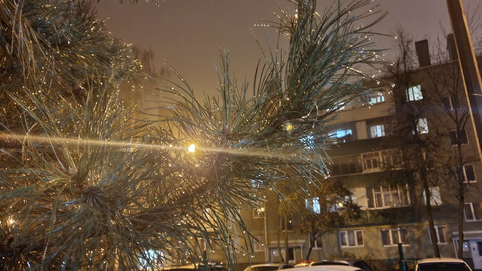 В Белгороде ночью от минус одного до минус трех градусов, днем от одного градуса мороза до одного градуса тепла.