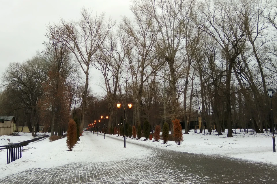 Странная зима в Липецке: туман, гололед, +2 градуса