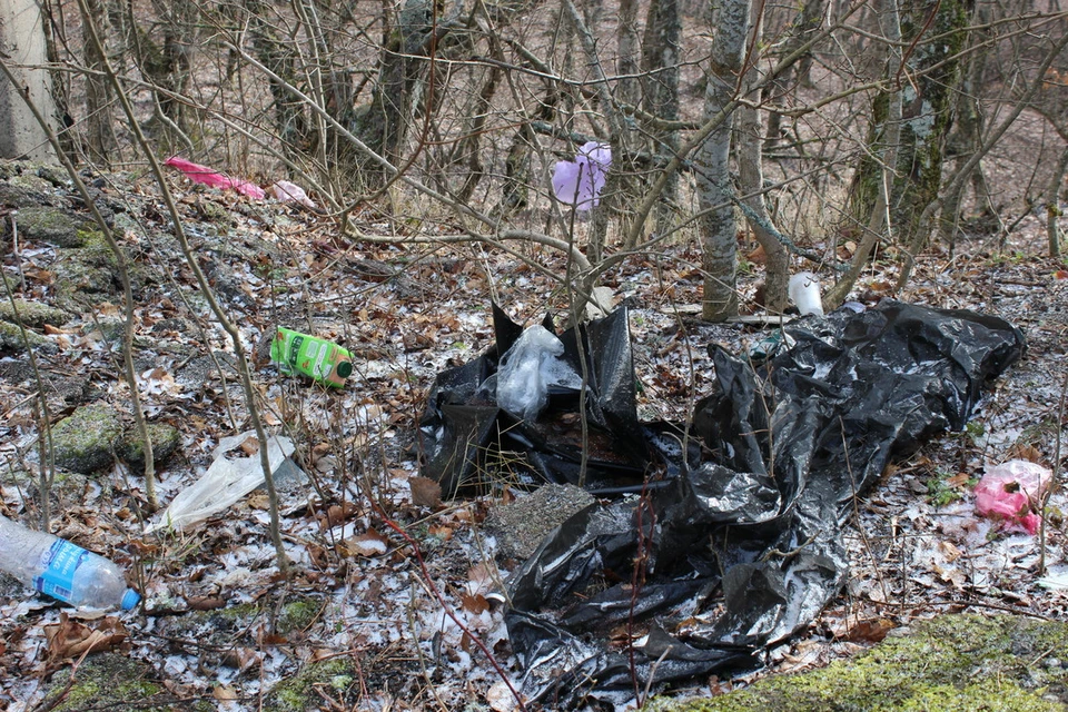 Больше всего мусора в посадках рядом с жилыми микрорайонами