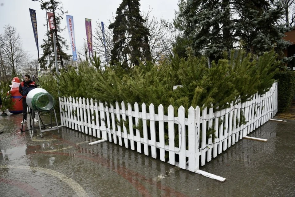 Фото: sev.gov.ru