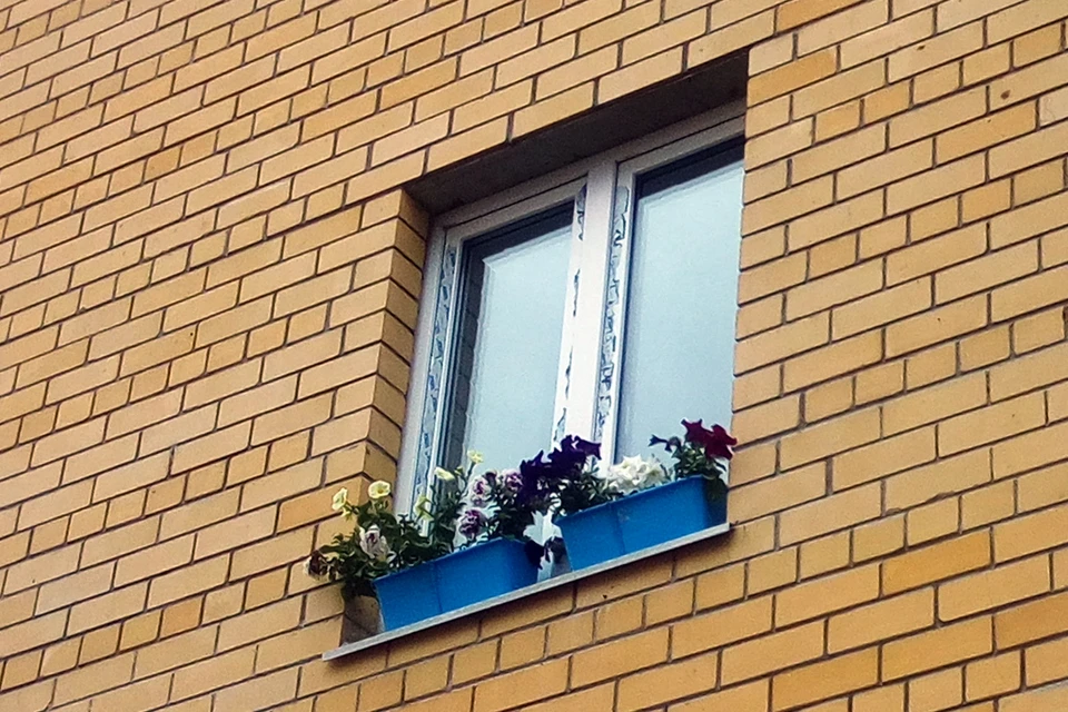 Зимой растения нужно поливать реже