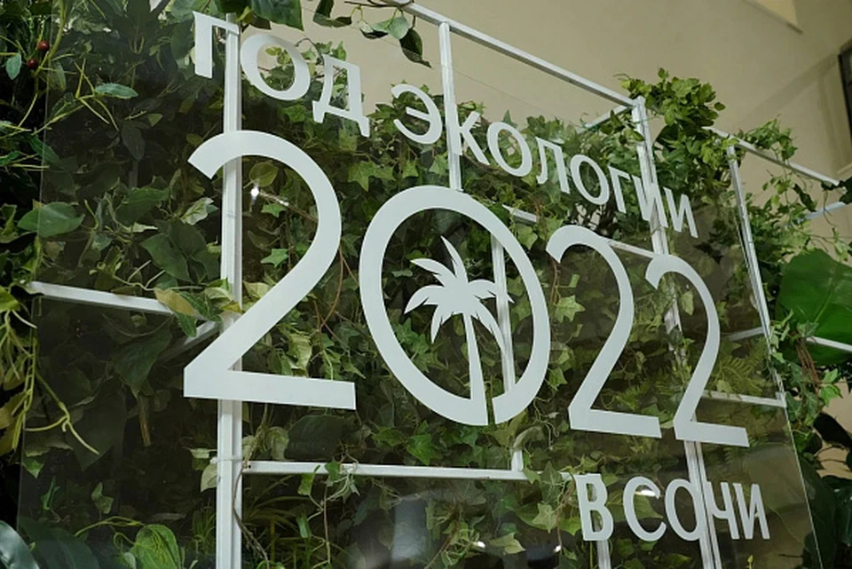Программу Года экологии презентовали в Сочи Фото: sochi.ru