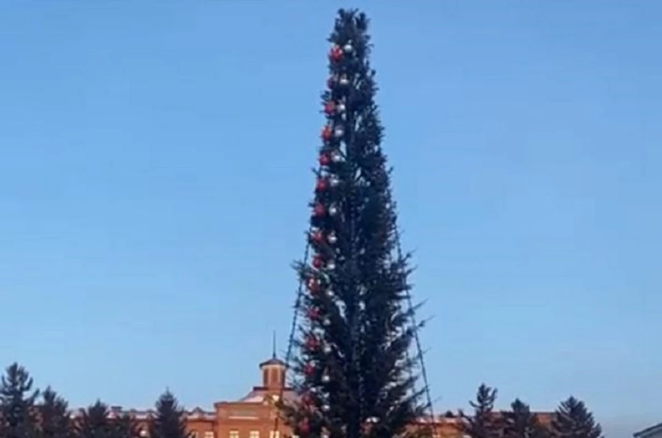 Высота новогоднего дерева достигает 20 метров. Фото: скриншот из видео