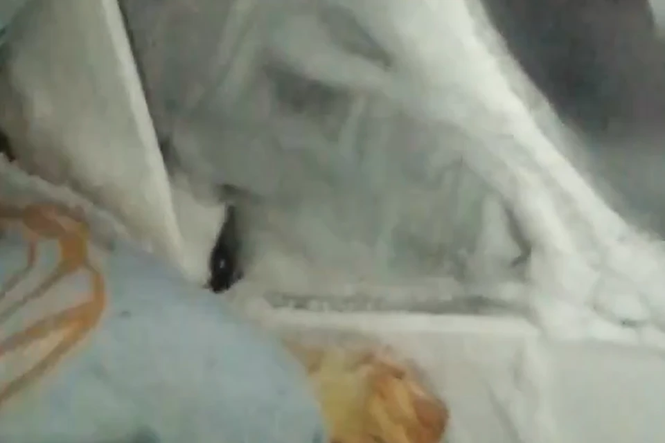 Окно в больничной палате