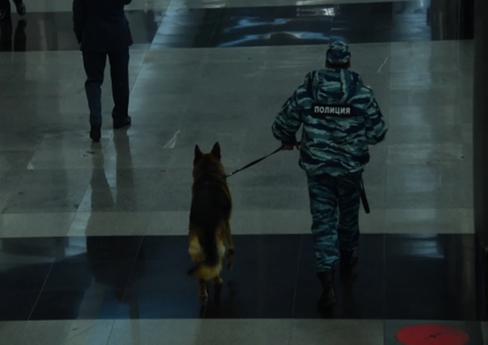 Кинологи искали бомбу в новосибирском метро
