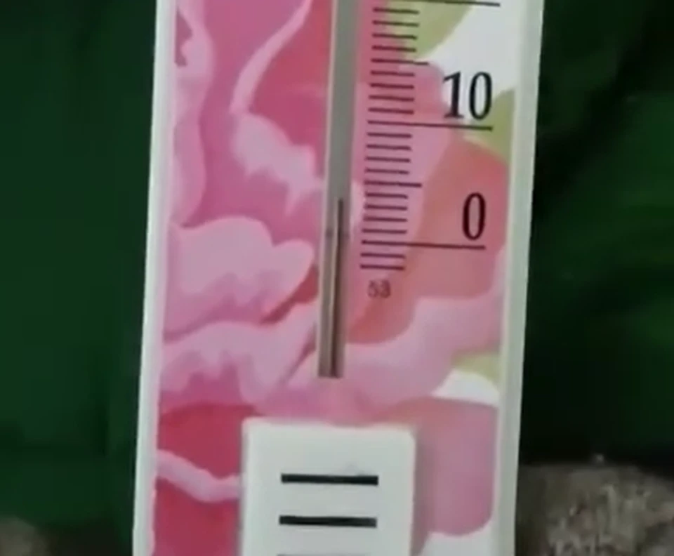 Температура воздуха в помещении не превышает +3 градусов. Фото: скриншот из видео