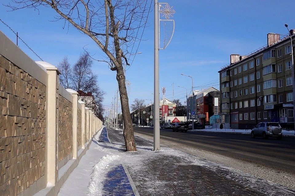 Тополь напротив дома №165