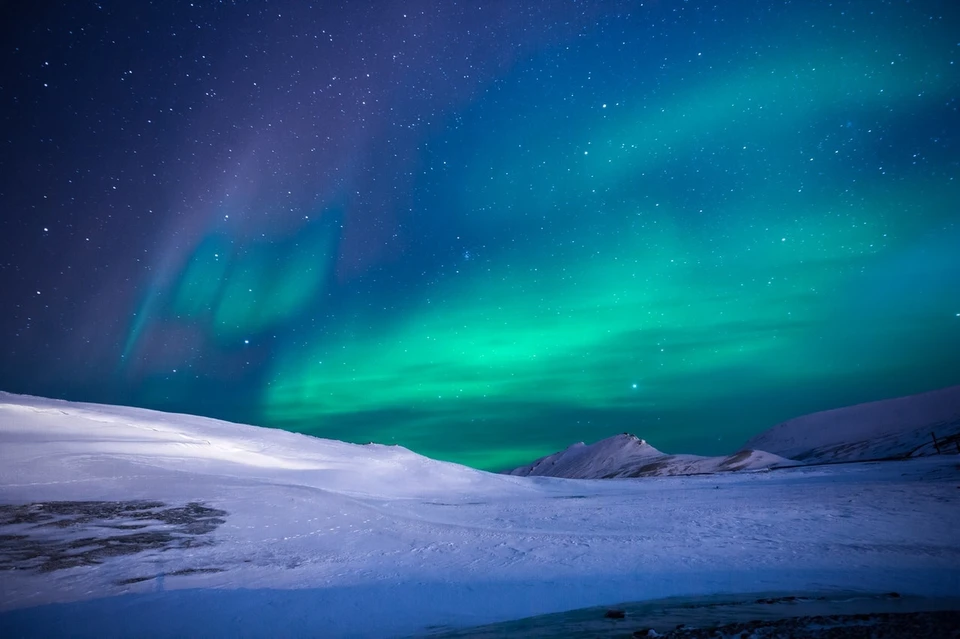 Фото: pexels.com