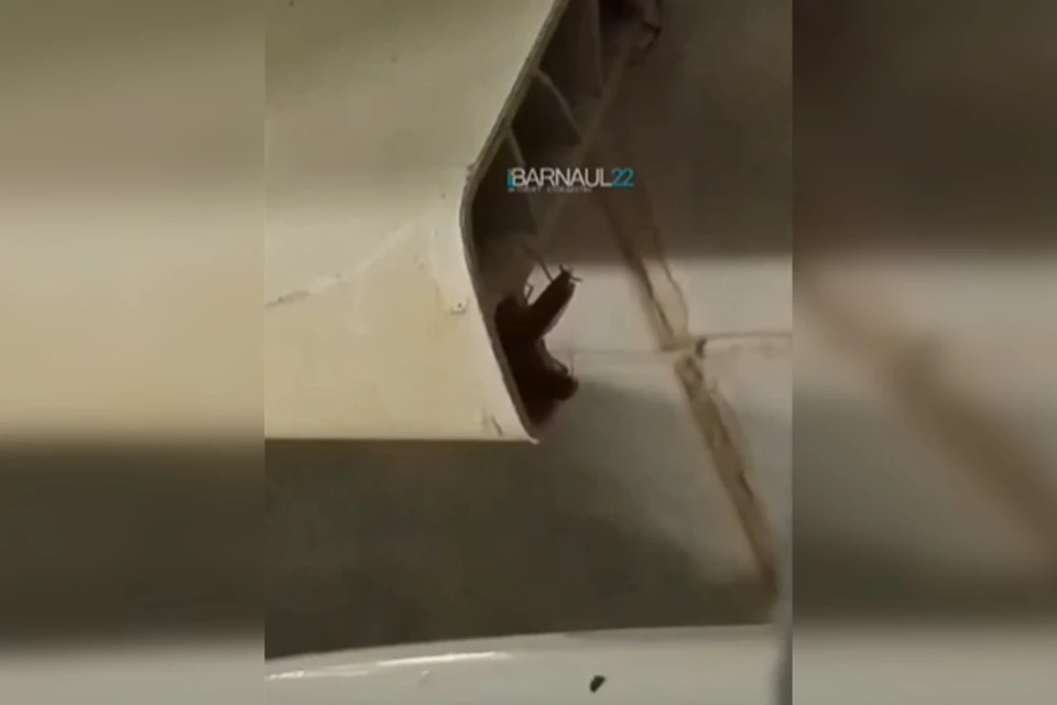 Ночью пока все спят, палаты атакуют тараканы / Фото: Денис Ганюков