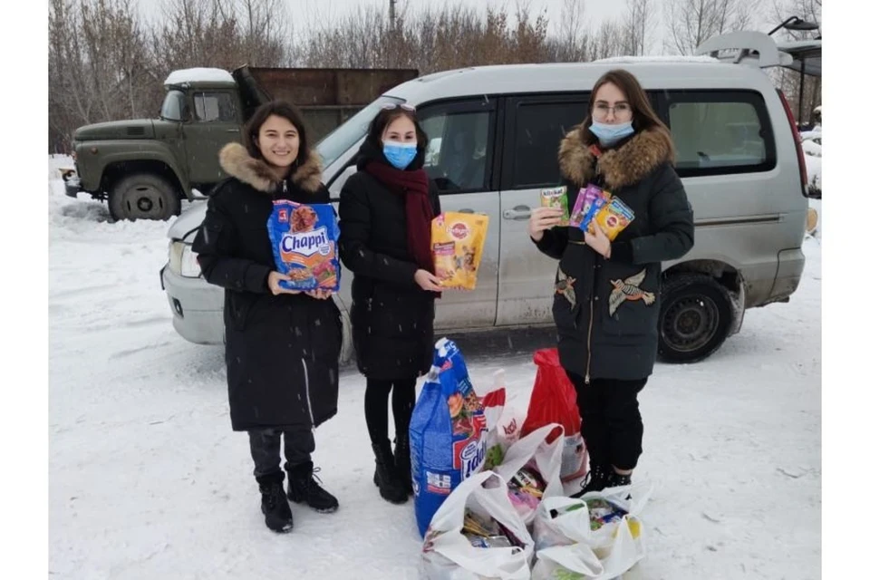 За месяц в общей сложности собрано 100 килограммов корма, а также поводки, пеленки и одежда для животных