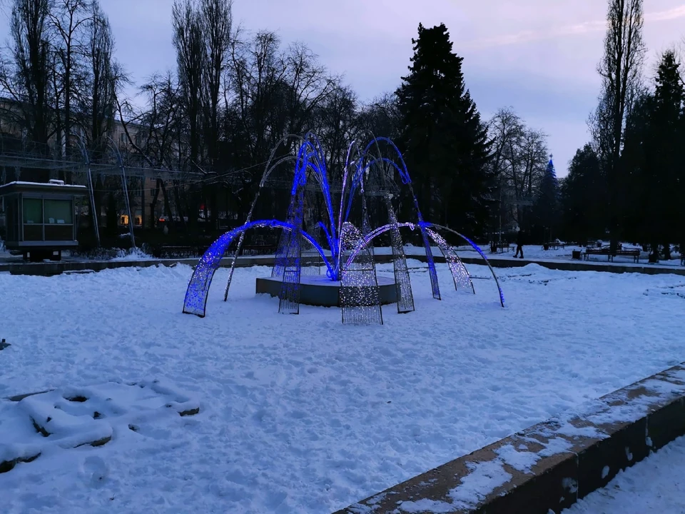 Фото РВК-Воронеж