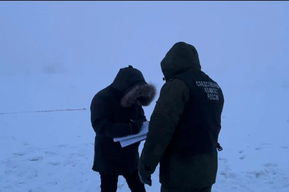 В Якутске собаки насмерть загрызли женщину возле ипподрома. Фото: стопкадр видео СК