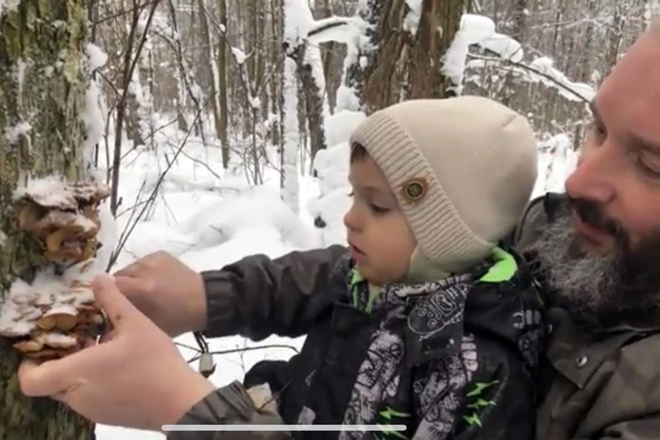 По словам Вишневского, сначала нужно очистить ствол от снега, чтобы видеть, сколько на нем имеется грибов