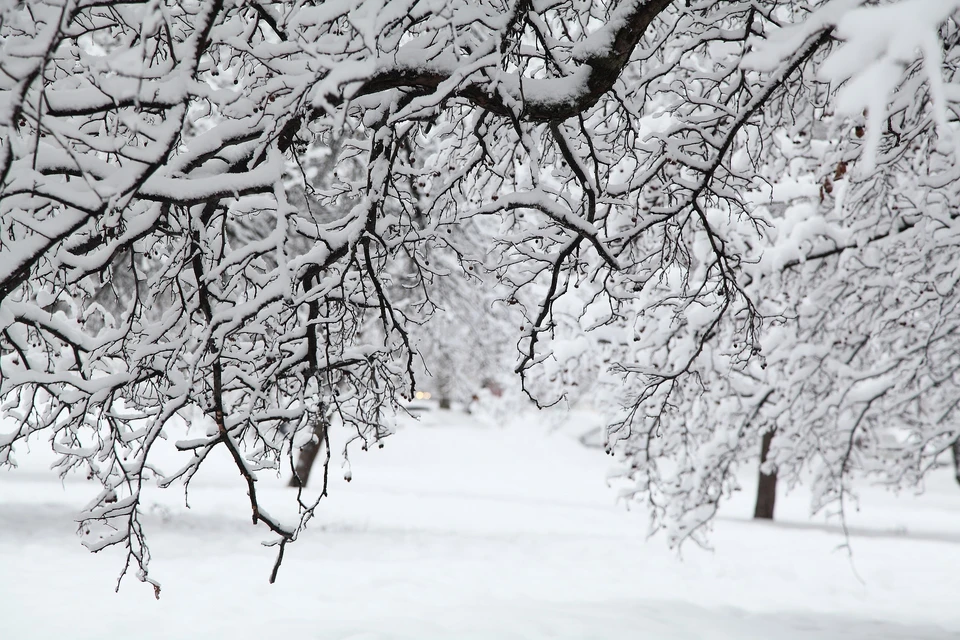 В Ижевске снова пройдет небольшой снег, и наступит резкое похолодание