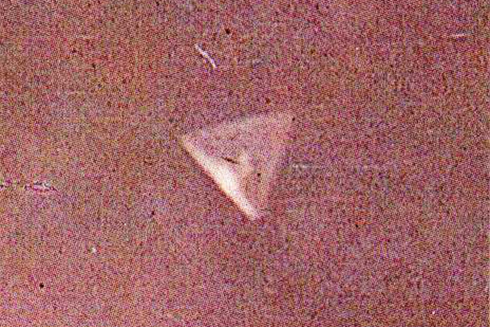 Высотный баллон французского производства, наблюдавшийся в 1977 году над Прибалтикой. Запущен из Скандинавией, высота дрейфа - примерно 40 км. Фото: личный архив Юлия Платова
