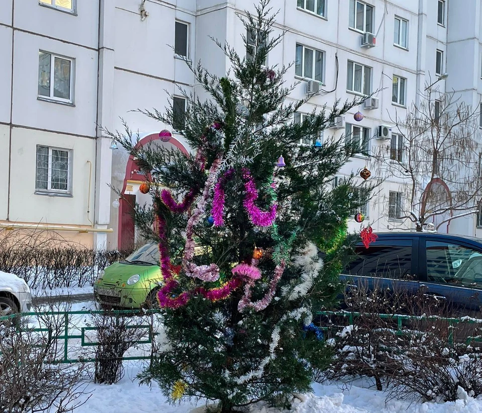 Фото управы Ленинского района