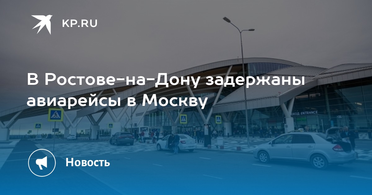 стрижка собак в ростове на дону
