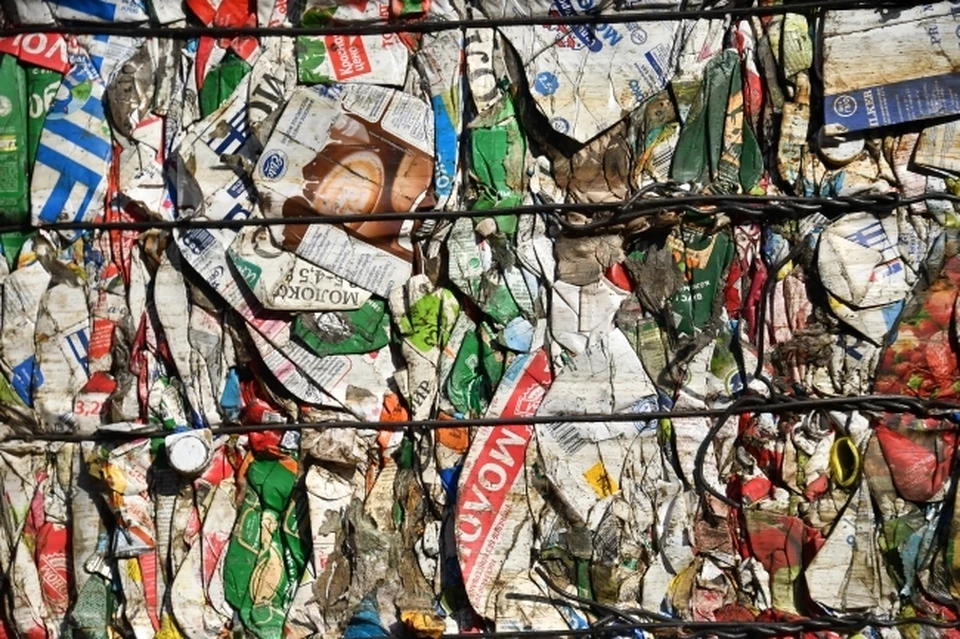 Проблемой сортировки мусора озабочен весь мир