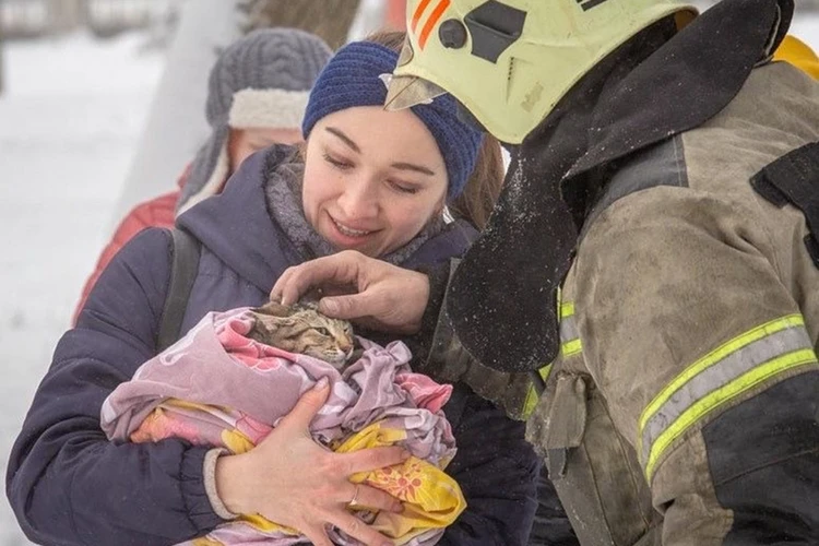 В Ростове пожарный спас кота, застрявшего на дереве