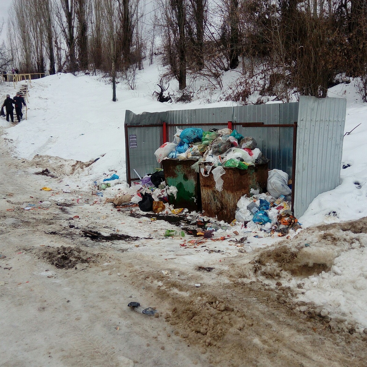 Почему в снежные зимы в Воронеже вокруг контейнеров образуются свалки мусора  - KP.RU