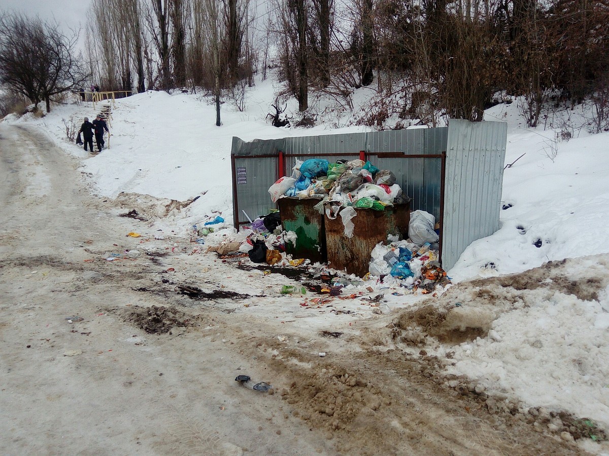 Почему в снежные зимы в Воронеже вокруг контейнеров образуются свалки  мусора - KP.RU