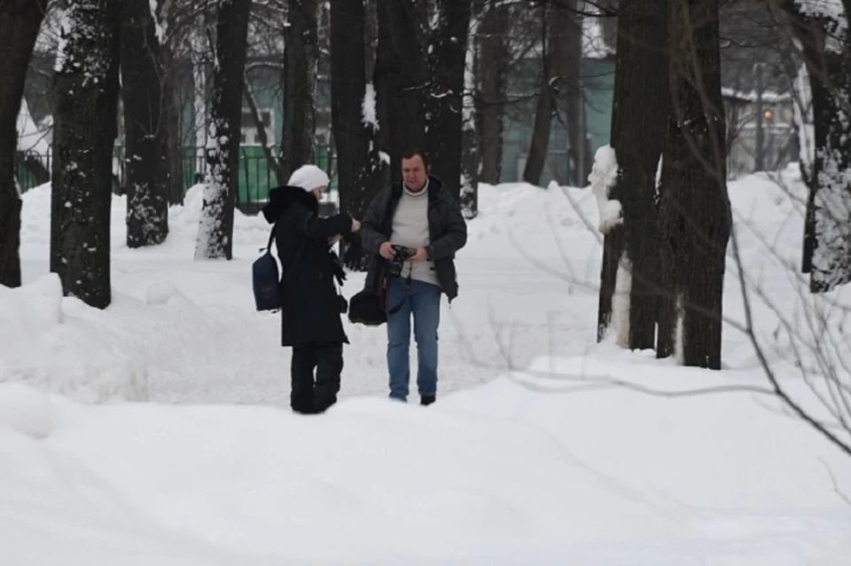 В Хабаровском крае 30 января пройдет небольшой снег