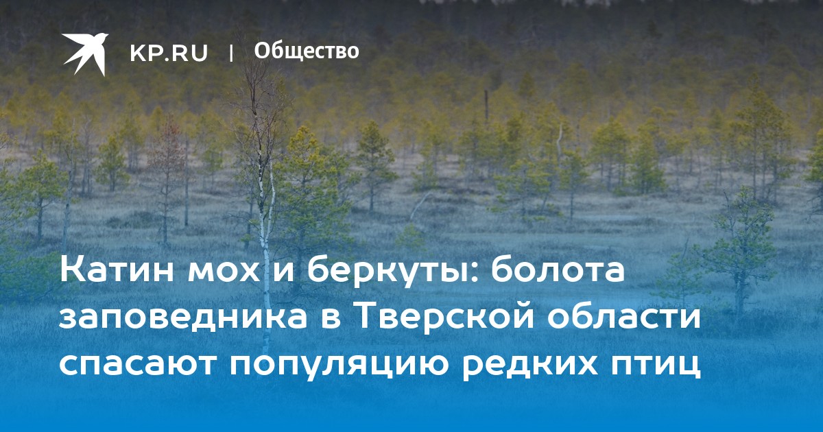 Катин и цветков проживали в одной комнате общежития