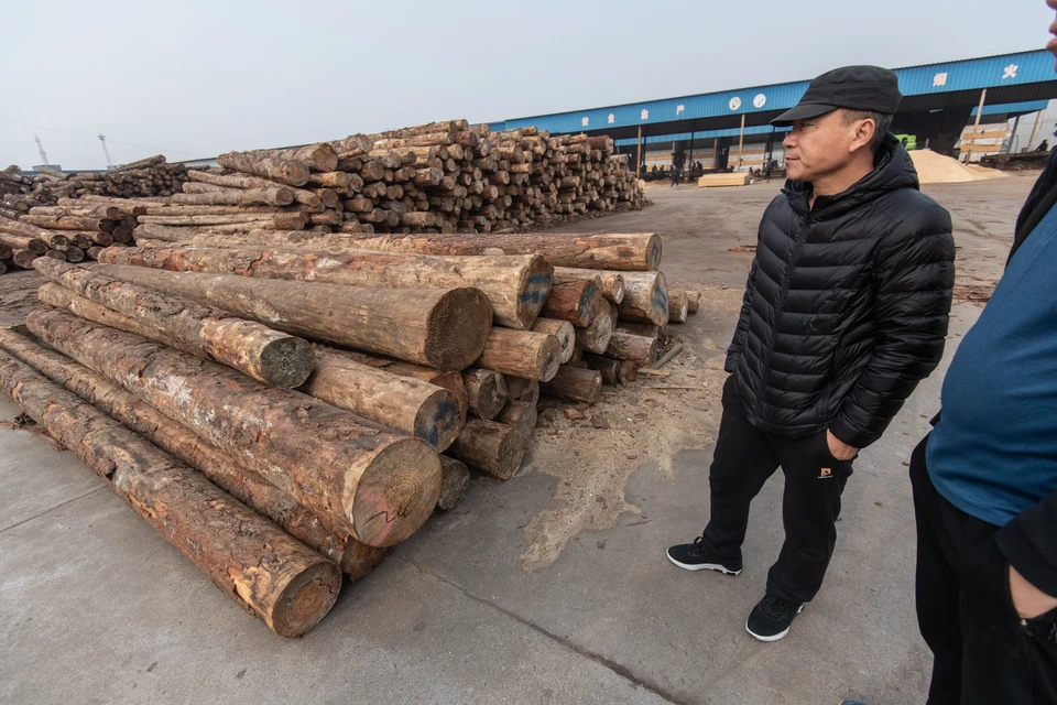 Компания хотела вывезти большой объем лесоматериалов в Китай.
