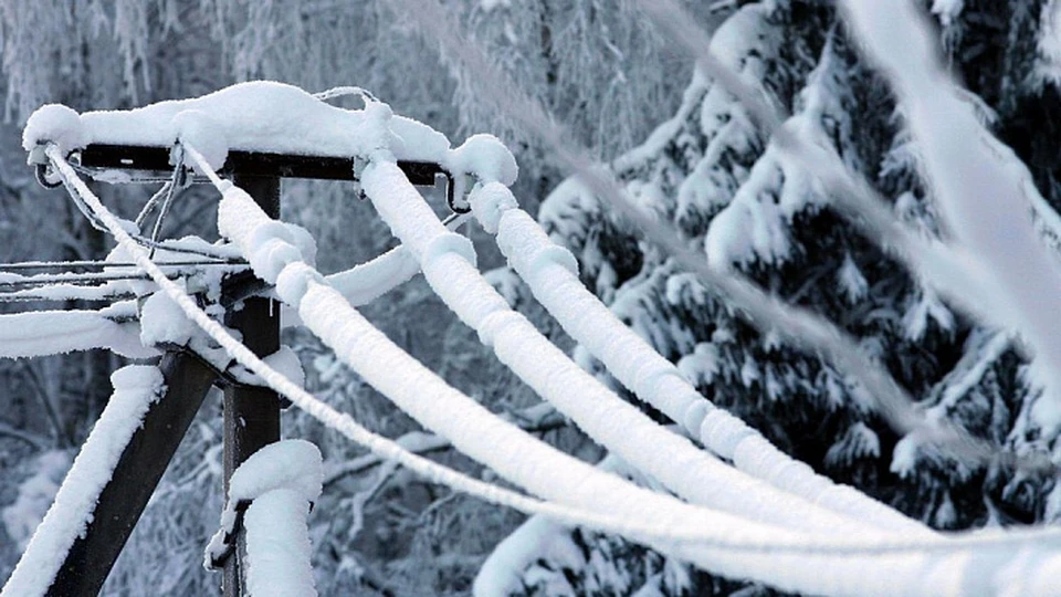 Фото: sochi.ru